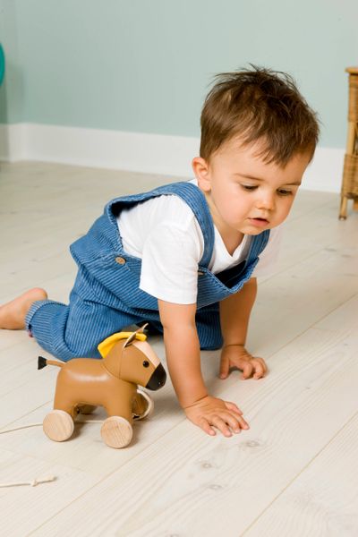 Trekkdyr - Charles hesten