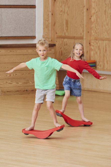 Hovedbilde Gonge Vippebrett 