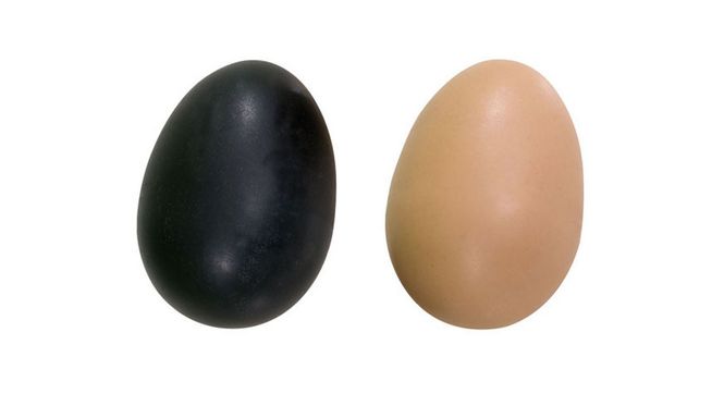 Hovedbilde Mini-maracas i eggform
