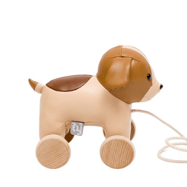 Trekkdyr - Adrien hunden