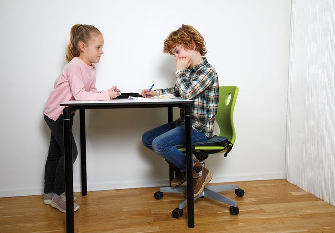 Hovedbilde Protac Kuleputen® til kontorstol